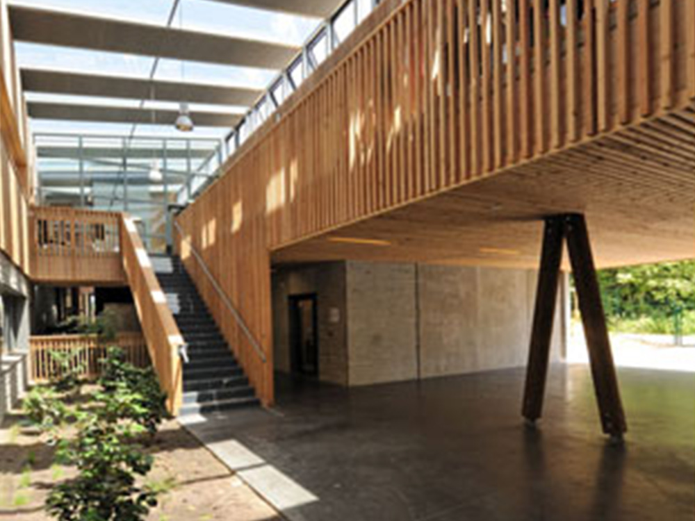 argia_oxandabaratz_ecole_jean_jaccachoury_05